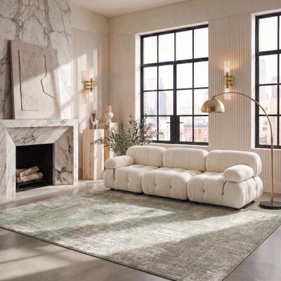SAFAVIEH Carter Louiza Modern & Contemporary Rug