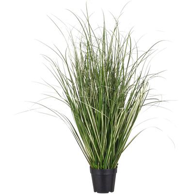Kunstgras CREATIV GREEN "Grasbusch Miscanthus variegatus", grün (grün, weiß), H:90cm, Obermaterial: 100% Kunststoff, Kunstpflanzen, mit filigranen Grashalmen