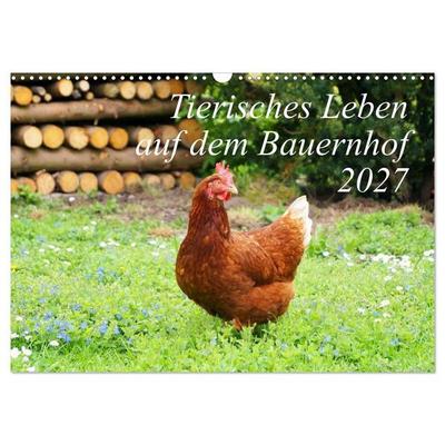 Tierisches Leben auf dem Bauernhof 2027 (Wandkalender 2027 DIN A3 quer), CALVENDO Monatskalender