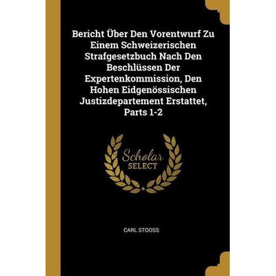 Bericht Über Den Vorentwurf Zu Einem Schweizerischen Strafgesetzbuch Nach Den Beschlüssen Der Expertenkommission, Den Hohen Eidgenössischen