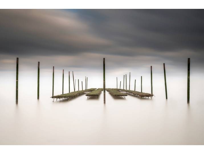 Fototapete PAPERMOON Photo-Art CHRISTOPHE STAELENS, DIE AUSTERNBAR , bunt, B:2,5m L:1,86m, Vlies, Tapeten, Fototapete