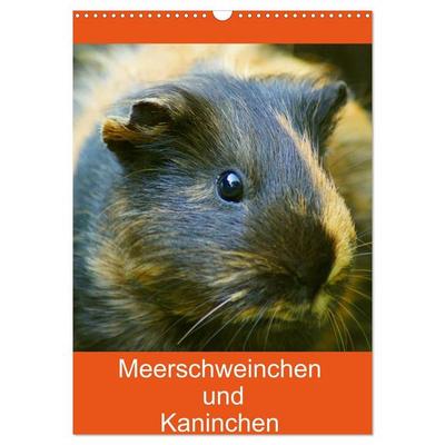 Meerschweinchen und Kaninchen Familienplaner (Wandkalender 2027 DIN A3 hoch), CALVENDO Monatskalender