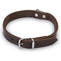 Beeztees BZ LEDERHALSBAND BRAUN 47X18 (Hund, Allgemein), Halsband + Leine