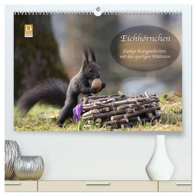 Eichhörnchen - Lustige Kurzgeschichten mit den quirligen Wildtieren (hochwertiger Premium Wandkalender 2026 DIN A2 quer), Kunstdruck in Hochglanz
