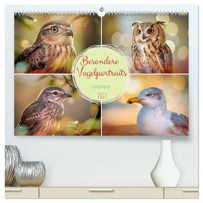Besondere Vogelportraits (hochwertiger Premium Wandkalender 2027 DIN A2 quer), Kunstdruck in Hochglanz