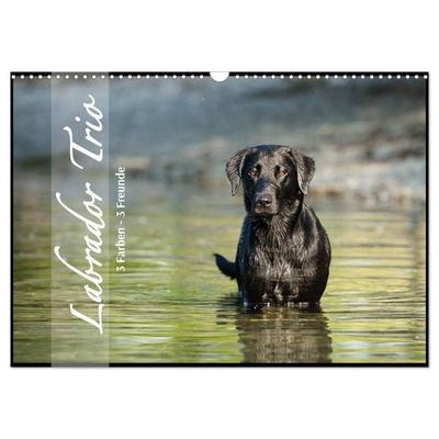 Labrador Trio - 3 Farben, 3 Freunde (Wandkalender 2027 DIN A3 quer), CALVENDO Monatskalender