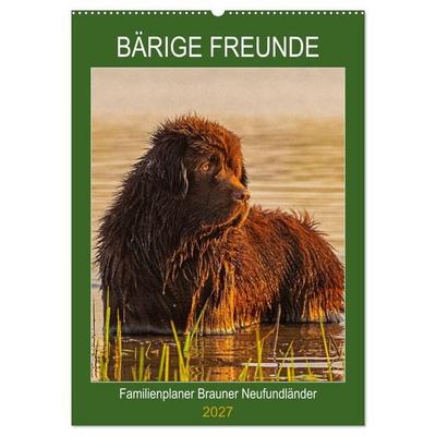 Bärige Freunde - Familienplaner Brauner Neufundländer (Wandkalender 2027 DIN A2 hoch), CALVENDO Monatskalender