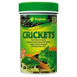 TROPICAL Crickets 100ml