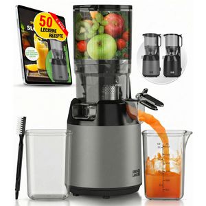 LEBENLANG Entsafter LBL3077G, Slow Juicer, 135 mm Einfüllöffnung, grau, 250 Watt, 500 ml