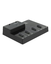 Delock M.2 Dockingstation für 4 x NVMe PCIe SSD mit Klon Funktion PCI-Express (64124)