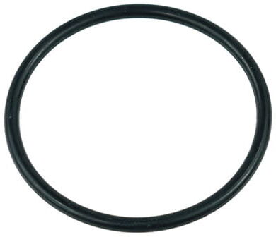 Aquatuning O-Ring f&uuml;r Laing D5/Alphacool VPP655/VPP755