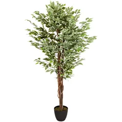 hjh OFFICE Kunstpflanze FICUS Kunststoff, Stoff