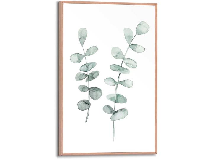 Poster REINDERS Eukalyptus , grün (farbe bild(er): grün), B:20cm H:30cm T:1,6cm, MDF, Bilder, Poster