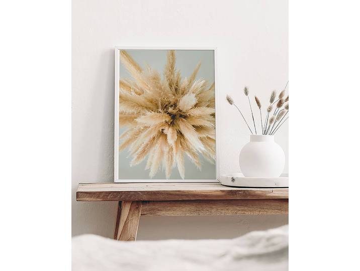 Bild Pampas Grass Buche Massiv, lackiert Acrylglas Multicolor 32 x 42cm