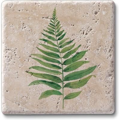 CounterArt Fern Study 4 Pack Natural Travertine Absorbent Stone Coasters with Protective Cork Backing Manufactured in The USA