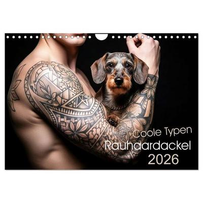 Coole Typen - Rauhaardackel (Wandkalender 2026 DIN A4 quer), CALVENDO Monatskalender