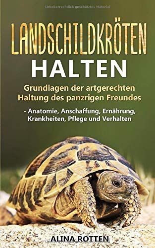 Alina Rotten - Landschildkröten halten: Grundlagen der artgerechten Haltung des panzrigen Freundes - Anatomie, Anschaffung, Ernährung, Krankheiten, Pflege und Verhalten - Preis vom 16.10.2026 11:41:07 h