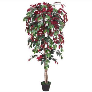 Decovego Kunstpflanze Roter Ficus Benjamin, Kunstbaum im Topf, mit Echtholzstamm, Höhe 150 cm