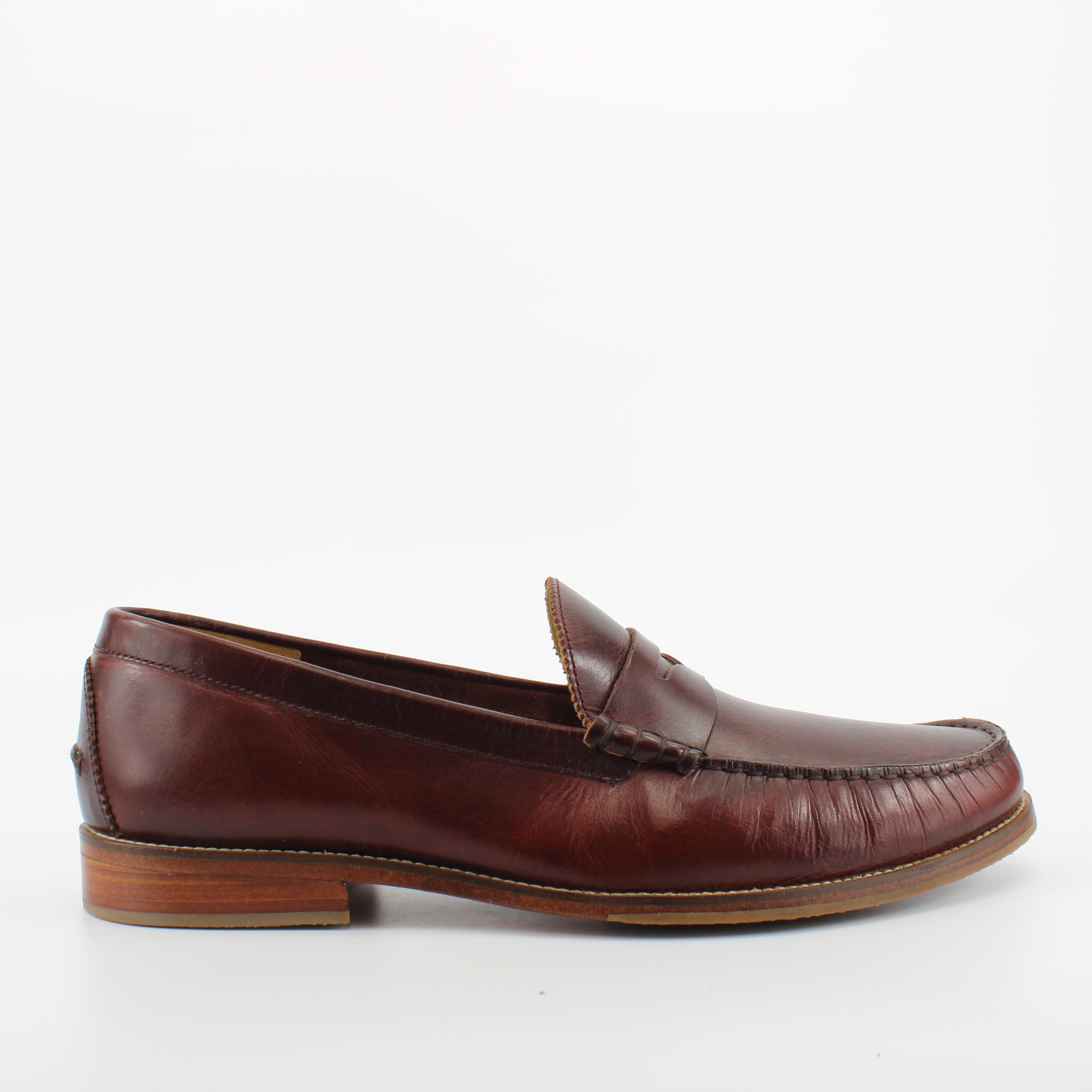 J Schoenen Stephen Heren Bruin