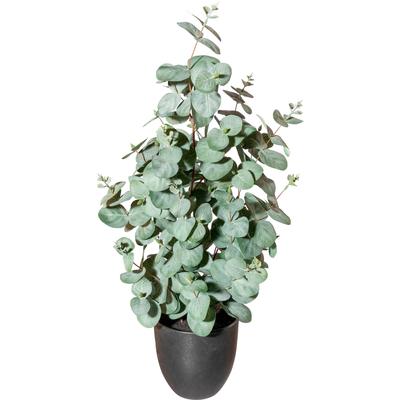 Künstliche Zimmerpflanze CREATIV GREEN "Eukalyptus", grün, H:60cm Ø:20cm, Polyester, Kunstpflanzen, Künstliche Zimmerpflanze