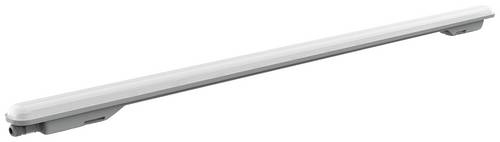 Müller-Licht Aquaprofi Sensor 150 Feuchtraumleuchte mit Bewegungsmelder LED Neutralweiß Grau (matt), Weiß