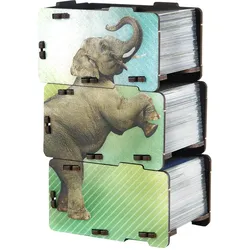 E-Raptor Insert: Ark Nova UV Print (GB) (Englisch)