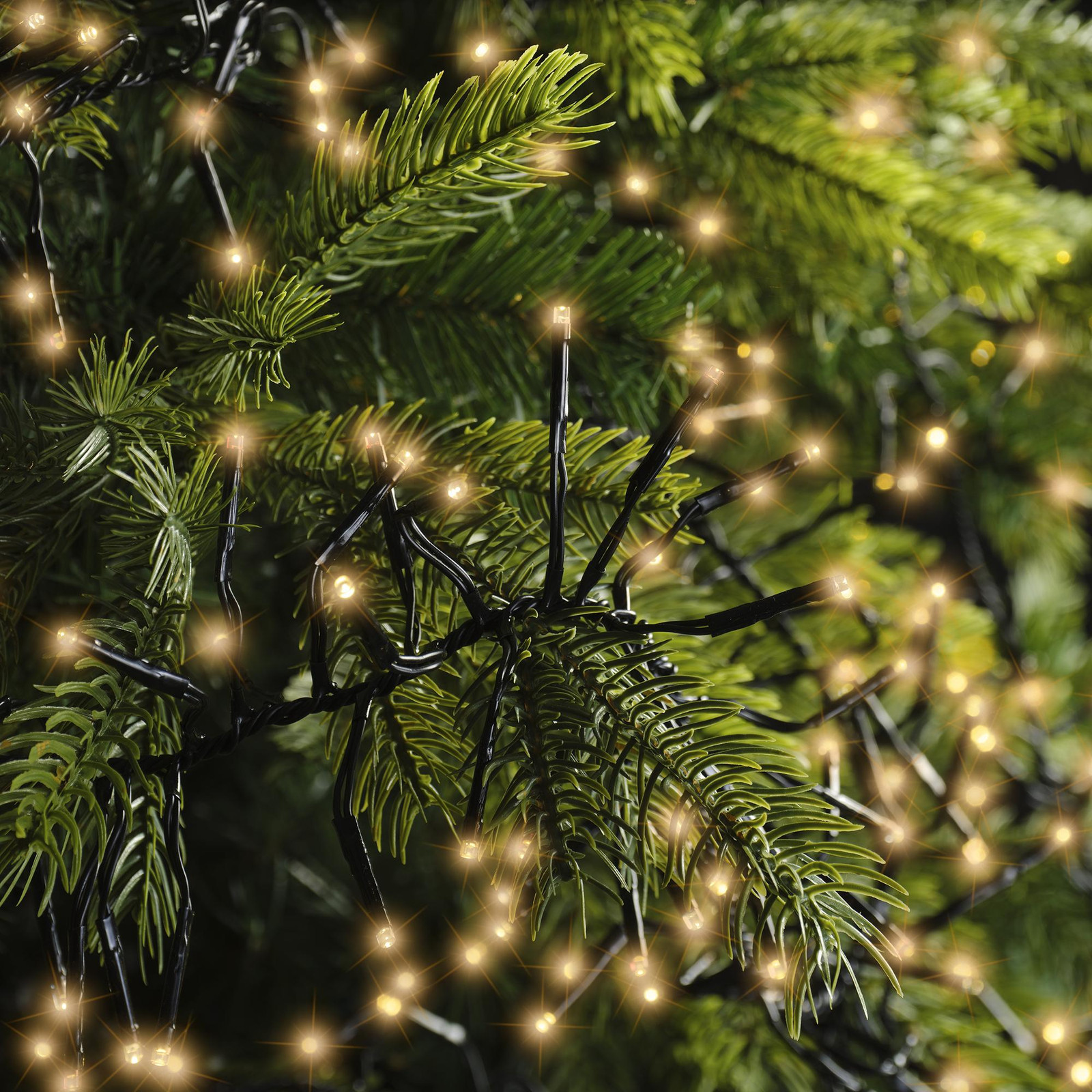 Kaemingk Clusterverlichting LED Buiten Kerstverlichting