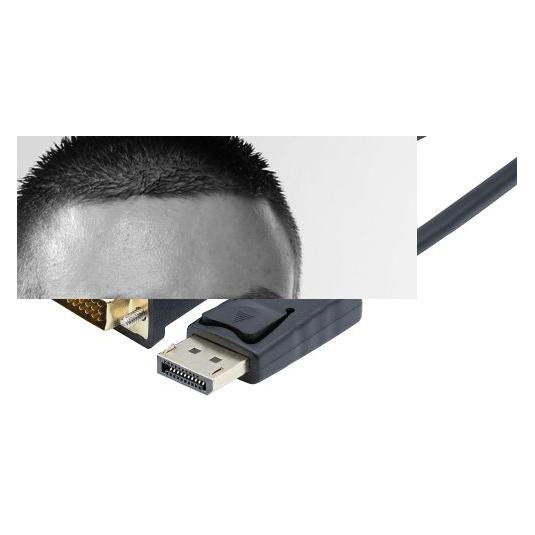 Protect Expert Exertis Connect DisplayPort DVI-D Kabel, 20pol Displayport St. / 24+1pol DVI-D St., 1,8 m (1.80 m) (642773)