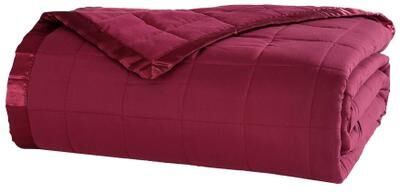 Down-Alternative Blanket by BrylaneHome in Burgundy (Size TWIN)