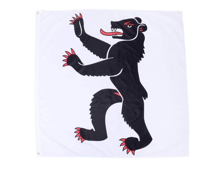 Kantonsflagge Appenzell Innerrhoden 120 x 120 cm
