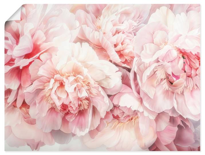 Wandbild ARTLAND Rosa Farbene Pfingstrosen Aquarell , rosa (farbe bild(er): pink), B:80cm H:60cm, Papier, Bilder, Wandbild, als Alubild, Leinwandbild, Poster, Wandaufkleber in verschied. Grössen
