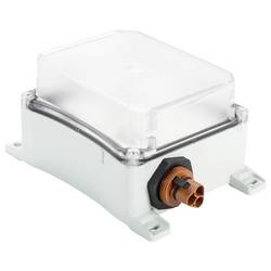 Wieland Electric 83.240.0030.0 LED-Notleuchte
