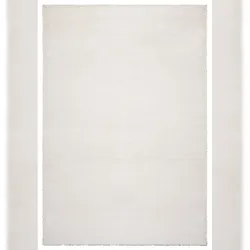 Hotelzimmer Teppich ALDAN Uni Polyester 16mm Antirutsch Gästezimmer pflegeleicht Büroteppich 200x280 cm Creme | Kadima Design