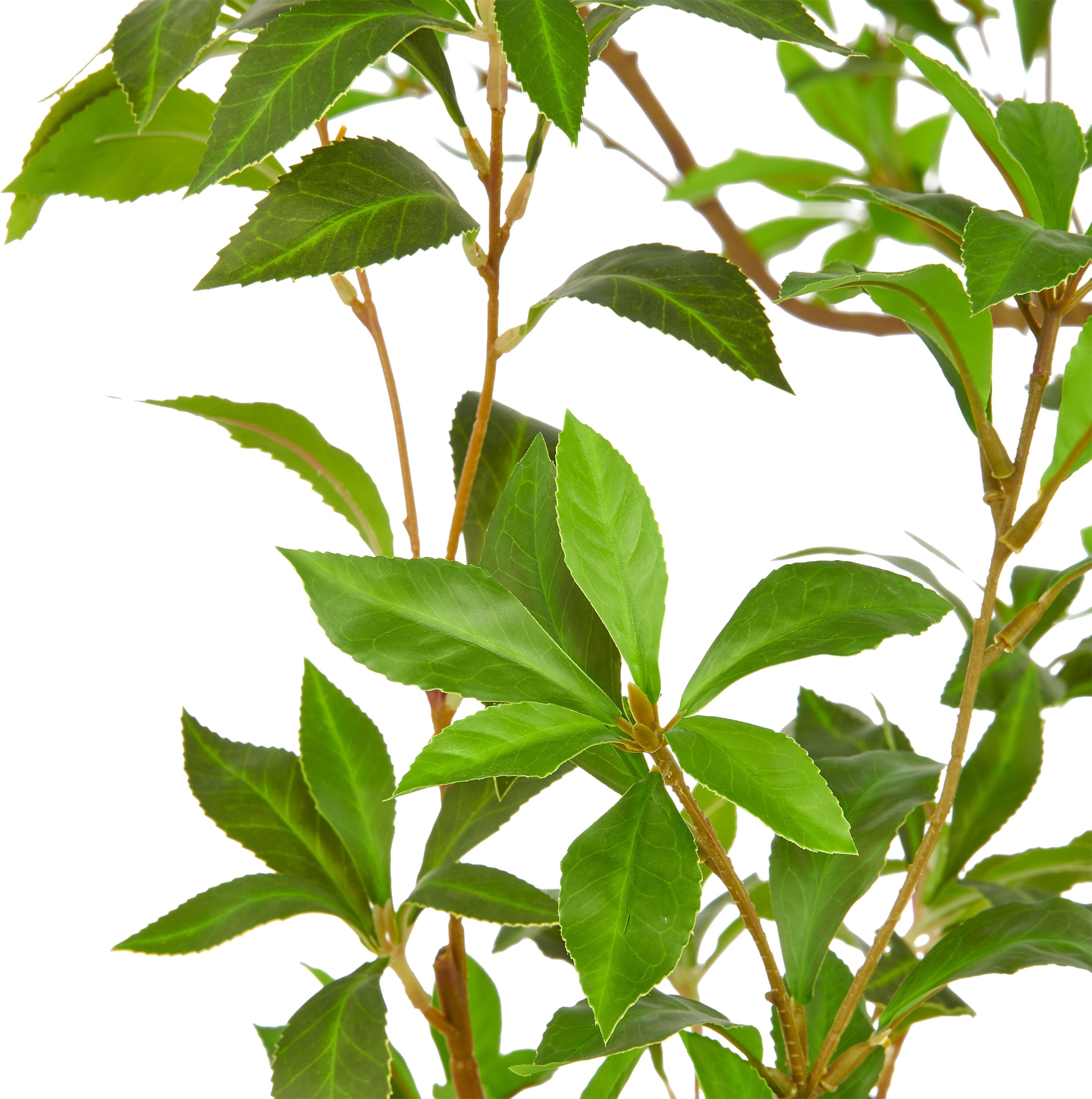 Kunstbaum CREATIV GREEN "Pieris japonica", grün, H:300cm, Obermaterial: 100% Kunststoff, Kunstpflanzen, Kunstbaum, in beeindruckender Größe