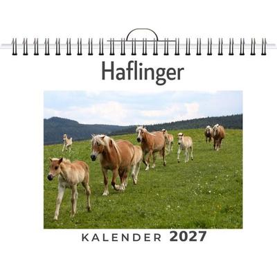 Haflinger