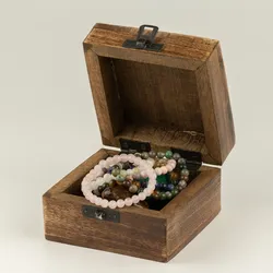 Small Enamelled Box -  Leo