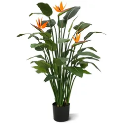 Designplants Strelitzia Kunstpflanze (h: 145 cm)