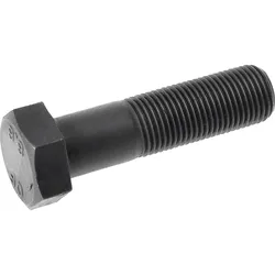 Schrauben DIN 960 silber - 00960 800 0160 060 - silber