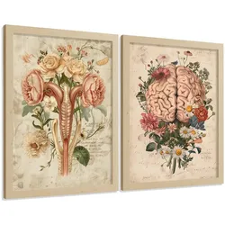 POSTER Set aus 2 Weibliche Anatomie Drucke und Wandbilder mit Gehirn und Gebärmutter Botanischer Retro Floraler Stil Größe Leichter Holzrahmen A3