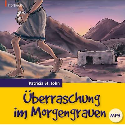 Überraschung im Morgengrauen (Hörbuch) - Patricia St. John, Audio, 9783866999374
