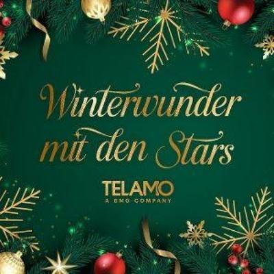 Winterwunder mit den Stars - Various, CD