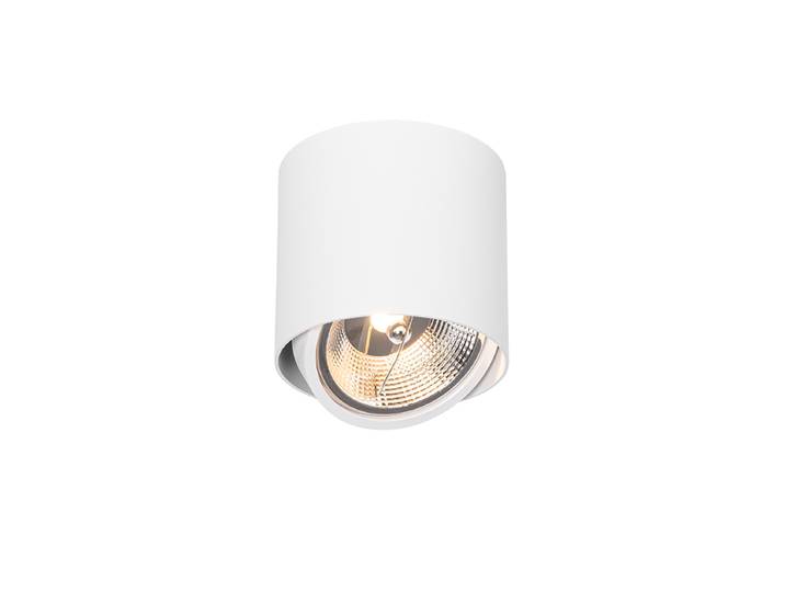 Spot design avec AR111 - Impact