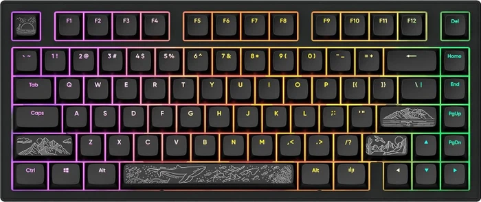 Dark Project ALU Terra Nostra Black - US