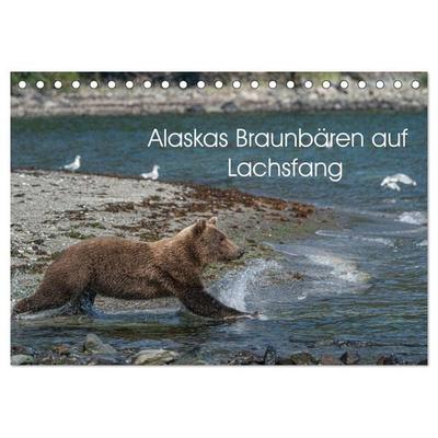Grizzlybären im Katmai Nationalpark Alaska (Tischkalender 2026 DIN A5 quer), CALVENDO Monatskalender