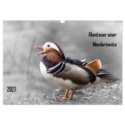 Abenteuer einer Mandarinente (Wandkalender 2027 DIN A3 quer), CALVENDO Monatskalender