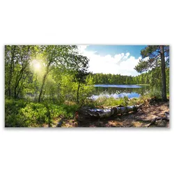 LEINWANDBILD 140x70 cm See im Wald