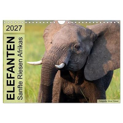 Elefanten - Sanfte Riesen Afrikas (Wandkalender 2027 DIN A4 quer), CALVENDO Monatskalender