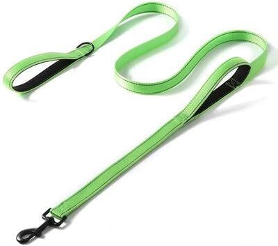 Uplifted Finds Dual Control Heavy Duty Pro Trainer Leash green 2.5 X 180 Cm