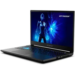 Medion Erazer Deputy 15 P1 (8 GB, Intel Core i7-13620H, GeForce RTX 5060), PC, Schwarz