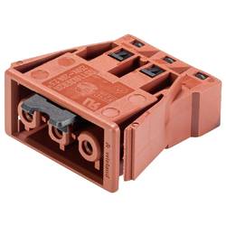 Wieland Electric 92.031.8458.0 Geräteanschluss